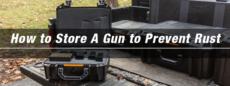 How to Store A Gun to Prevent Rust