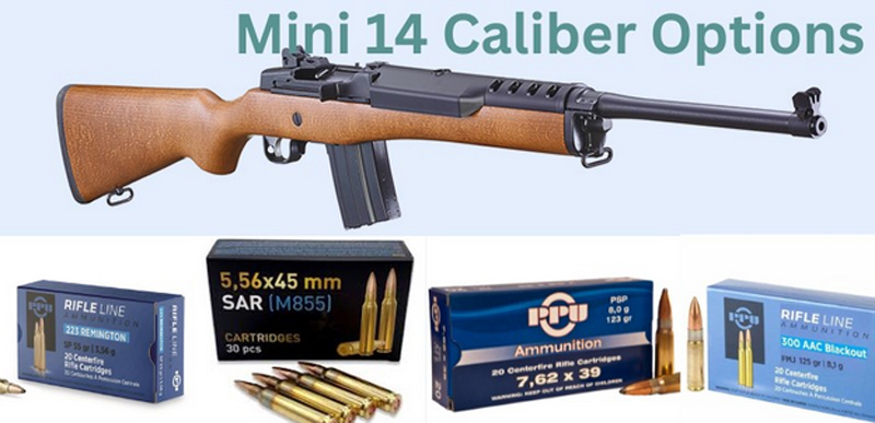 Mini 14 Caliber Options