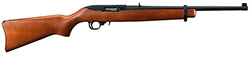 Ruger 10/22