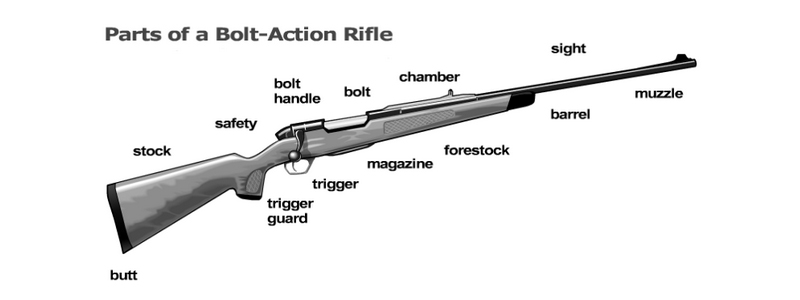 Bolt-Action Rifle